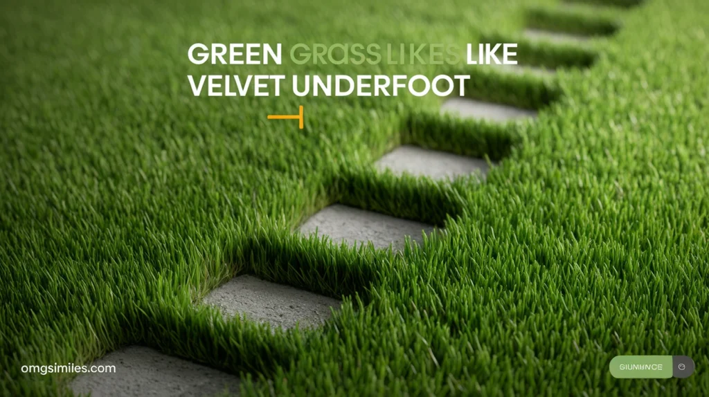 Green Grass Like Velvet Underfoot