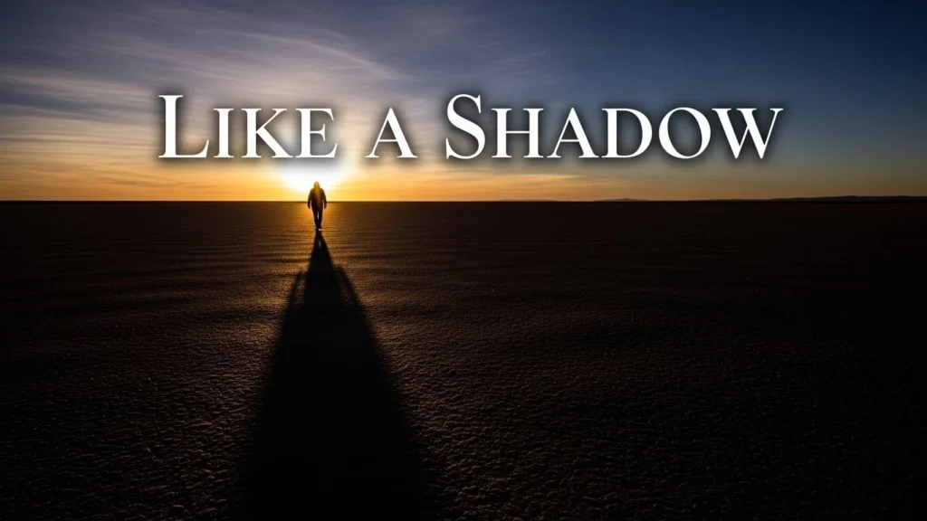 Like a Shadow