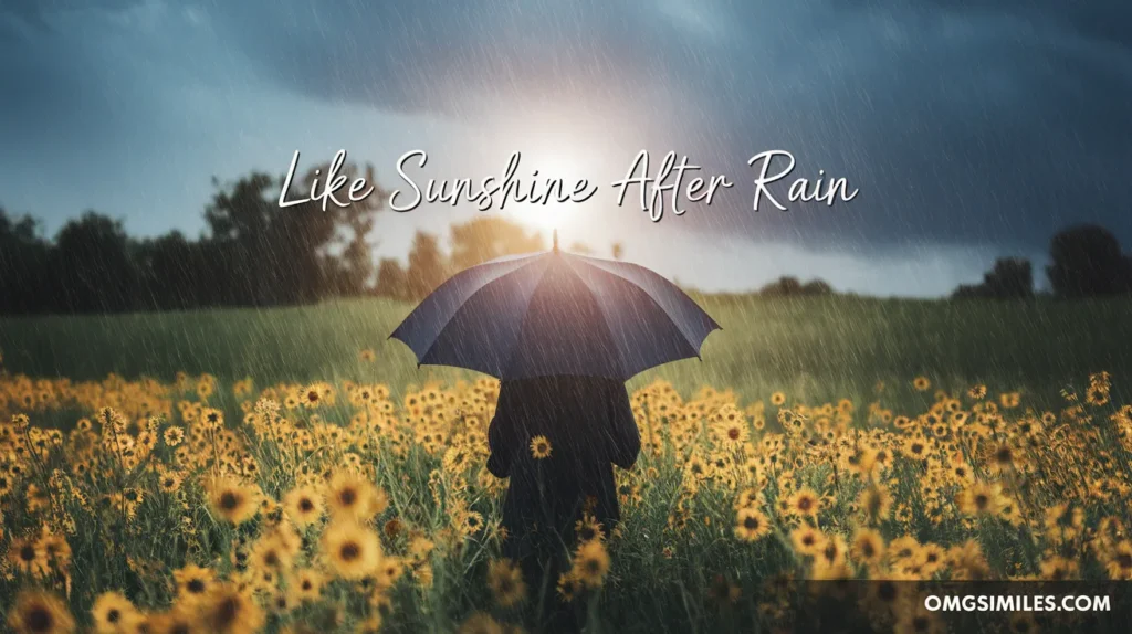 Like Sunshine After Rain