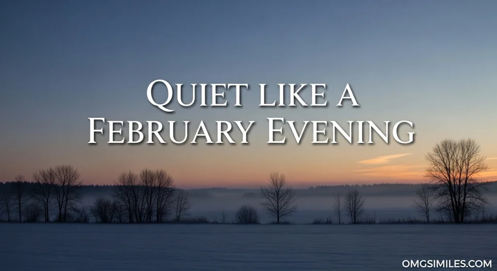 Quiet like a February Evening