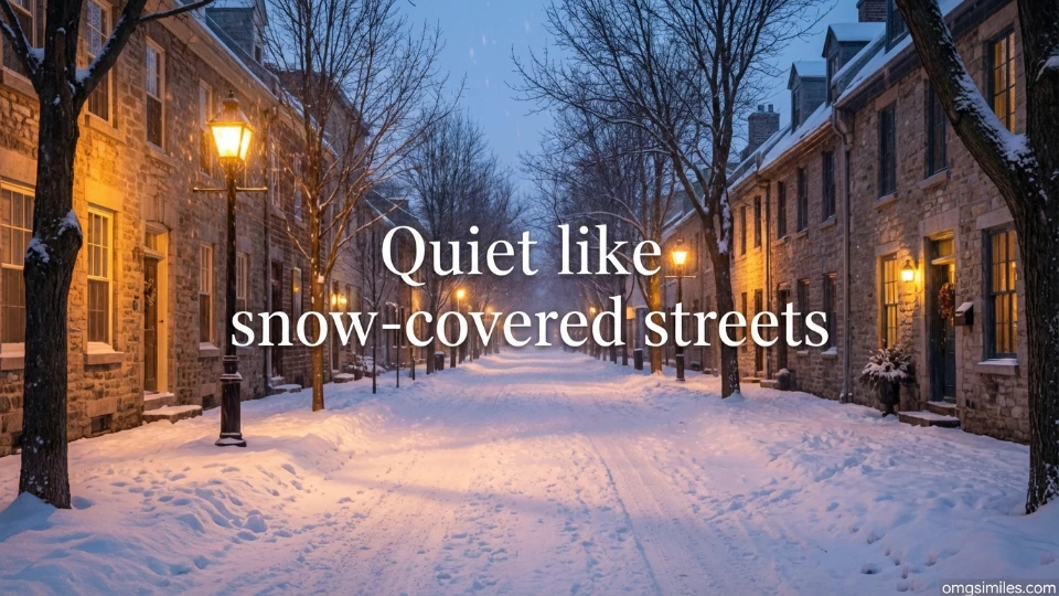 Quiet like snow-covered streets
