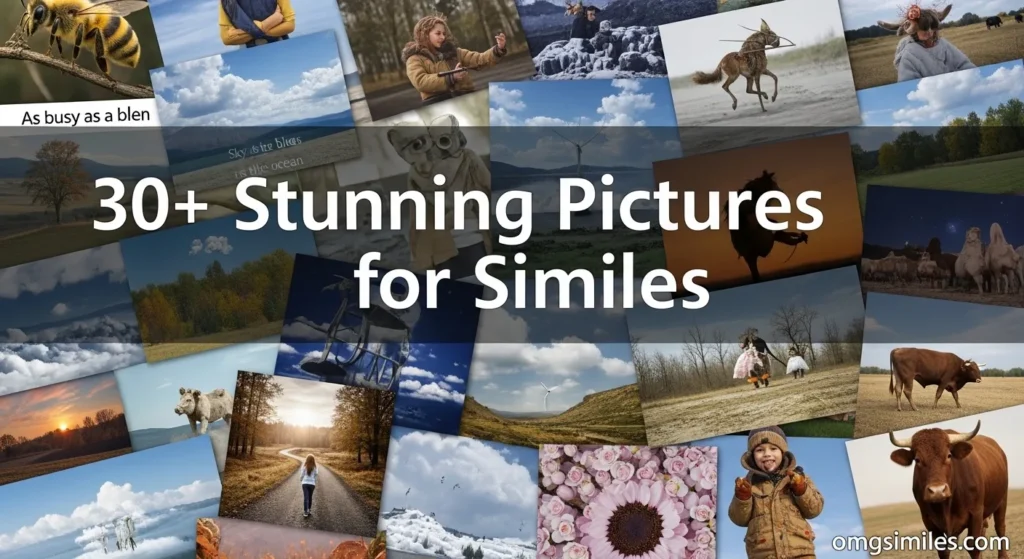 30+ Stunning Pictures for Similes