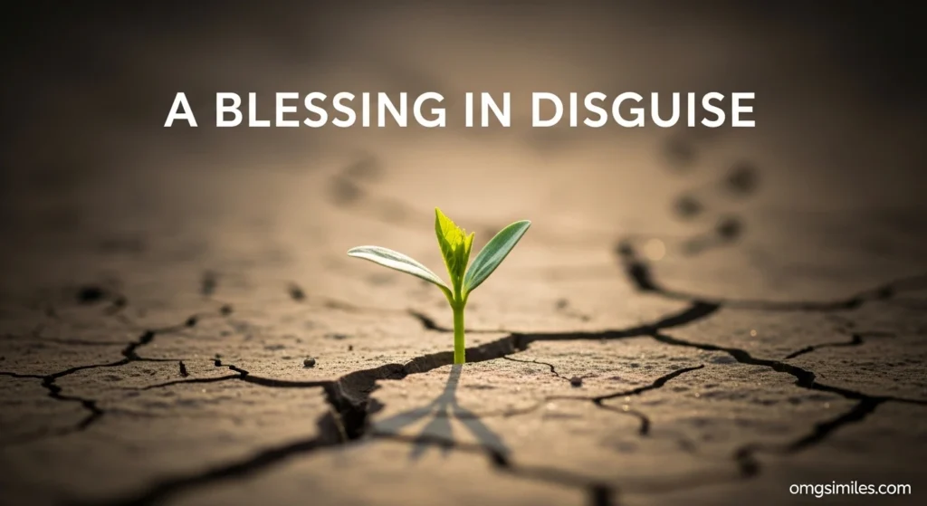 A Blessing in Disguise