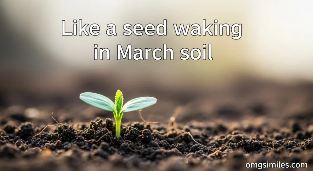 Like a seed waking in March soil